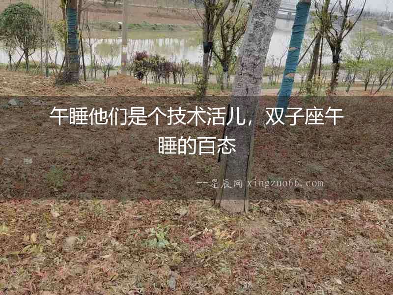 午睡他們是個技術活兒，雙子座午睡的百態