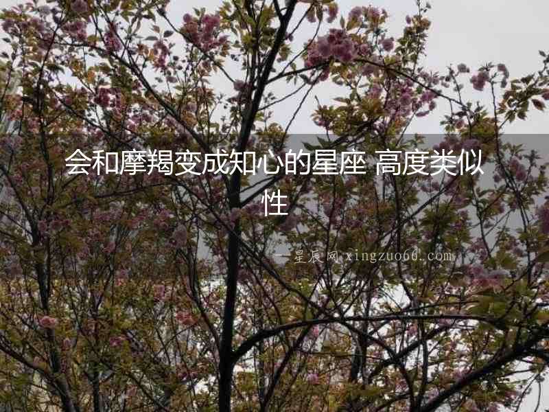 會和摩羯變成知心的星座 高度類似性