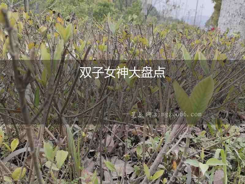 雙子女神大盤點