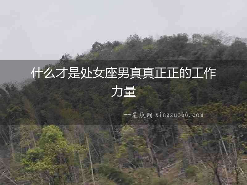 什么才是處女座男真真正正的工作力量