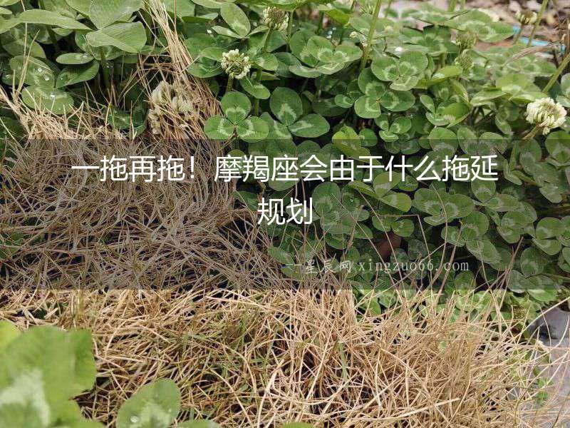 一拖再拖！摩羯座會由于什么拖延規劃