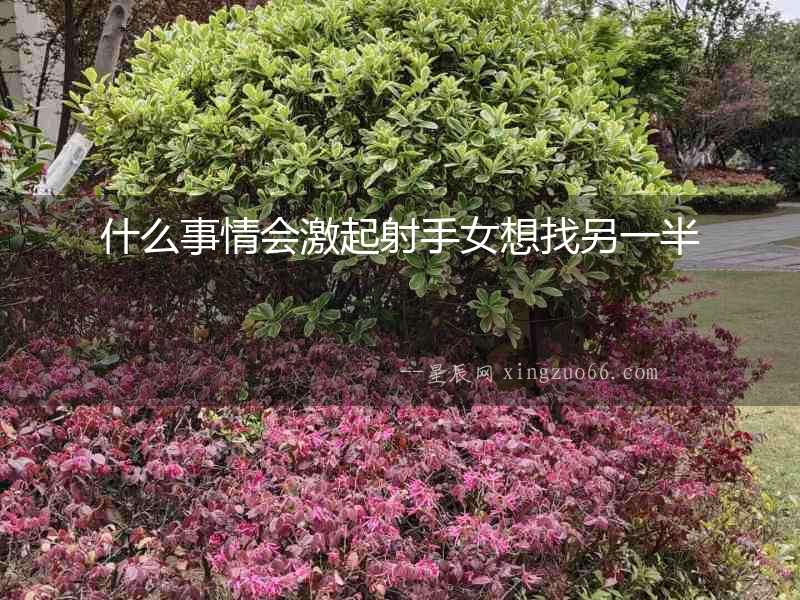 什么事情會激起射手女想找另一半