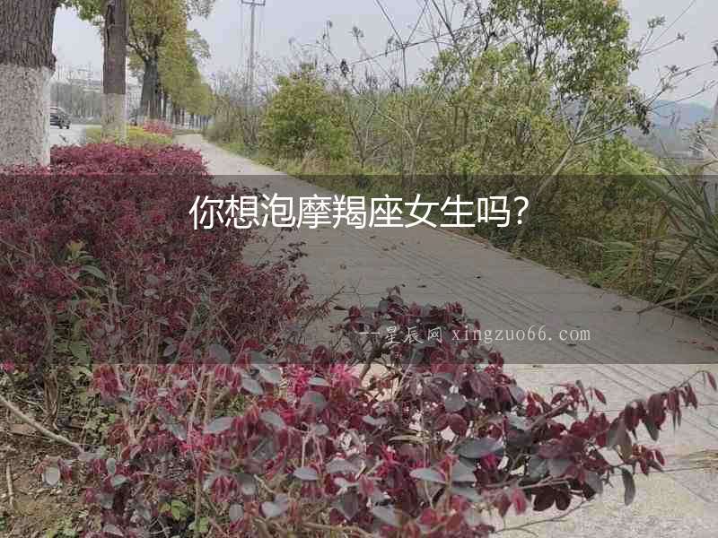 你想泡摩羯座女生嗎？