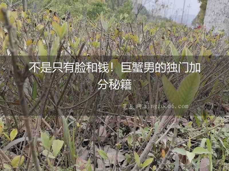 不是只有臉和錢！巨蟹男的獨門加分秘籍