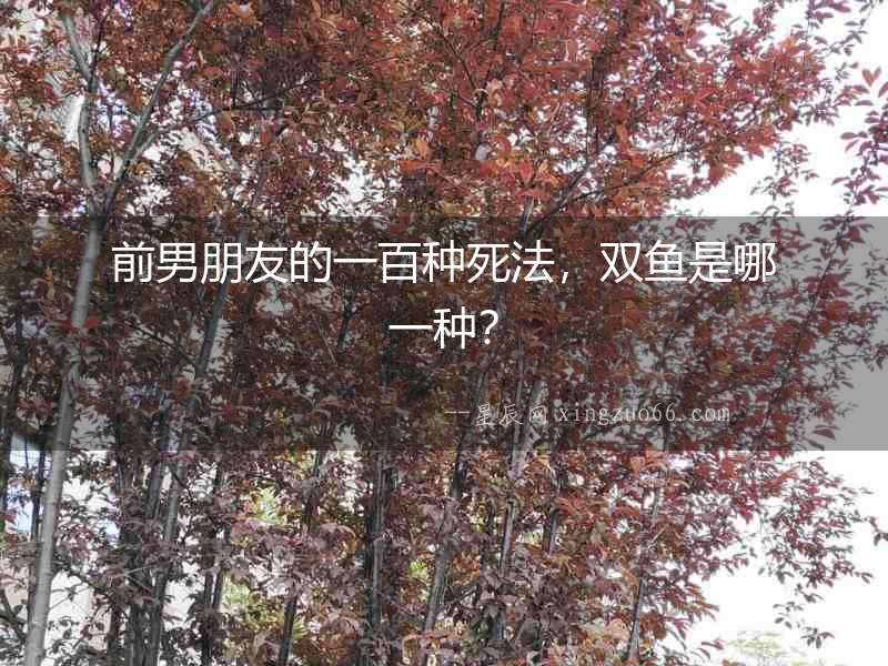 前男朋友的一百種死法，雙魚是哪一種？