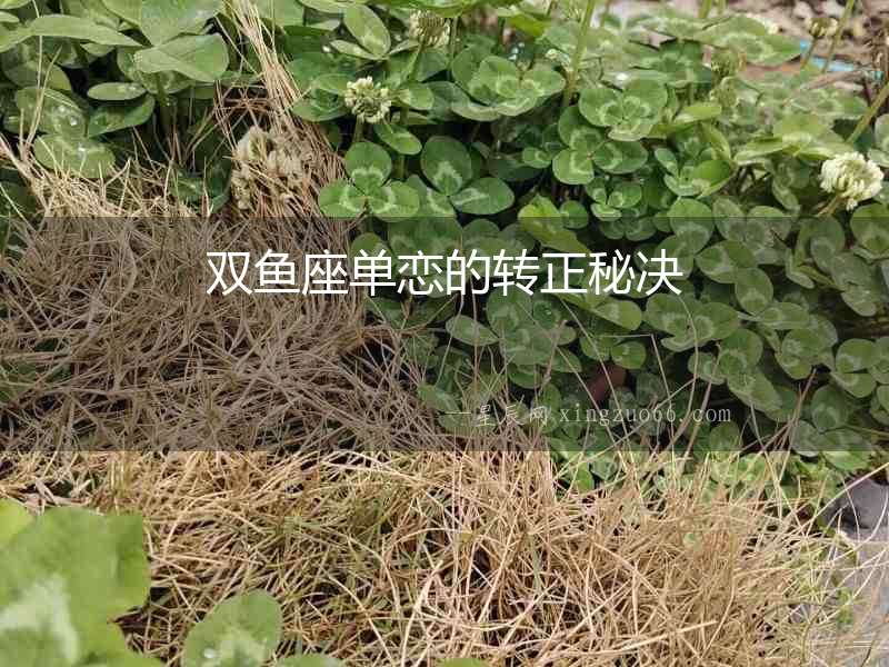 雙魚座單戀的轉正秘決