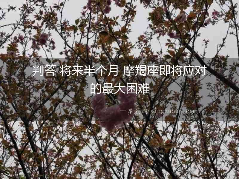 判答 將來半個月 摩羯座即將應對的最大困難