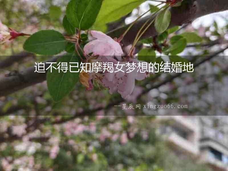 迫不得已知摩羯女夢想的結婚地