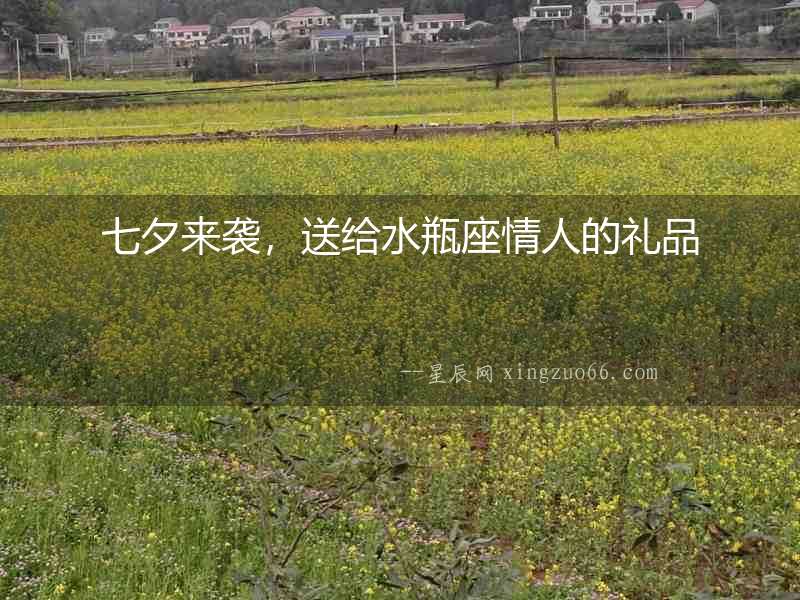 七夕來襲，送給水瓶座情人的禮品