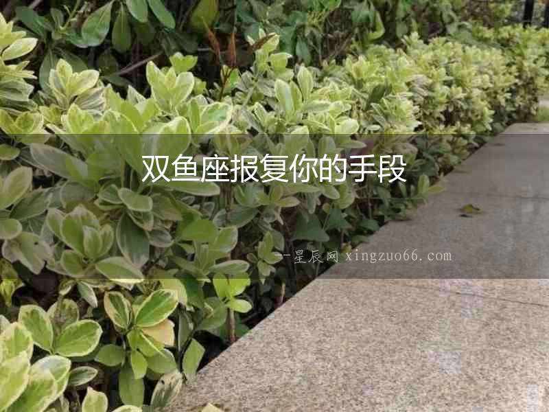 雙魚座報復你的手段
