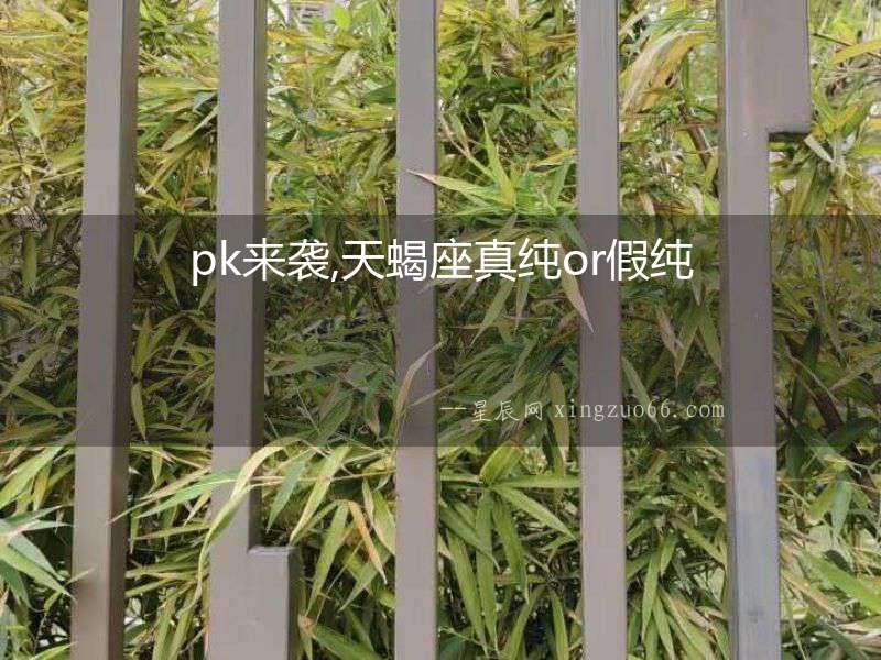 pk來襲,天蝎座真純or假純