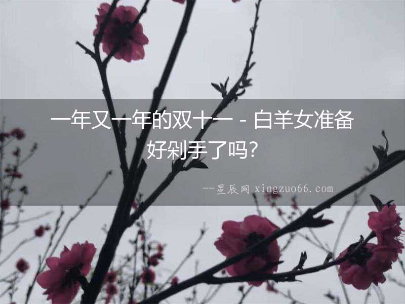 一年又一年的雙十一－白羊女準備好剁手了嗎？