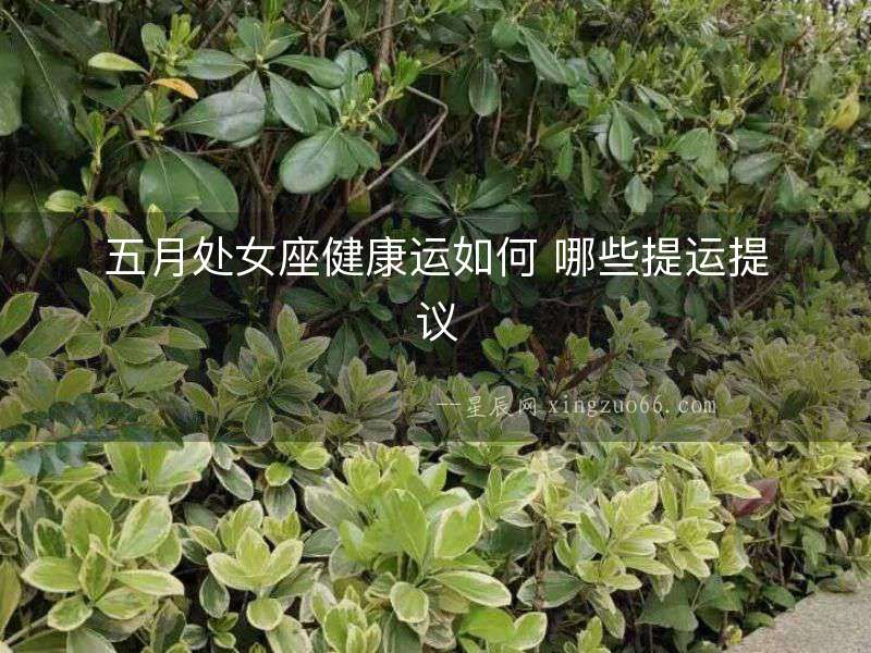五月處女座健康運如何 哪些提運提議