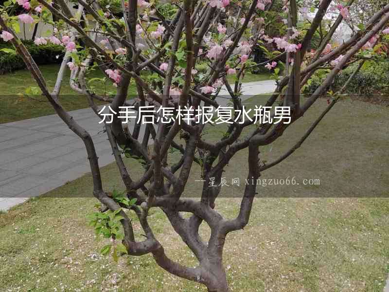 分手后怎樣報復(fù)水瓶男