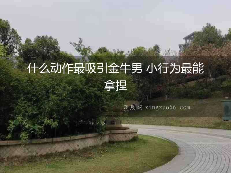 什么動作最吸引金牛男 小行為最能拿捏