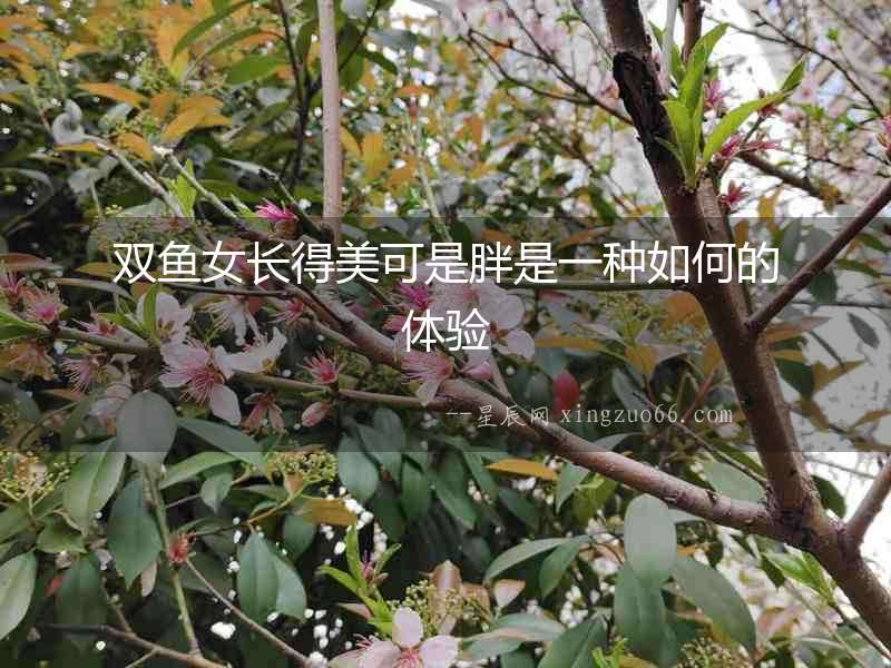 雙魚(yú)女長(zhǎng)得美可是胖是一種如何的體驗(yàn)