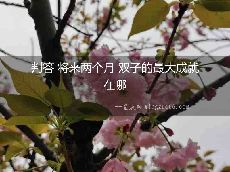 判答 將來兩個月 雙子的最大成就在哪