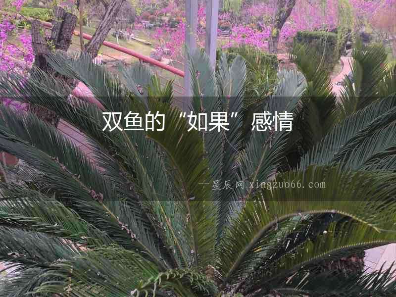 雙魚的“如果”感情