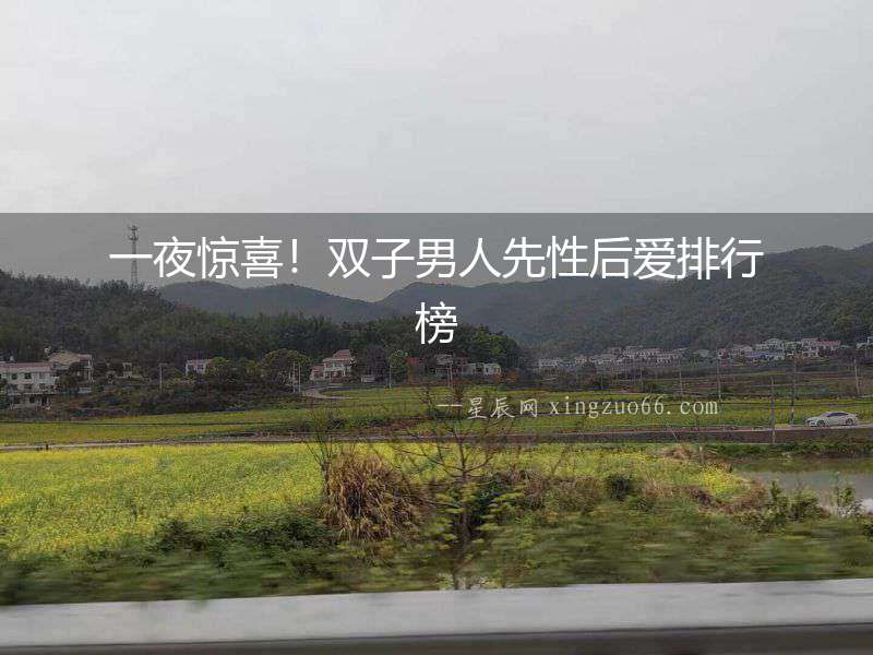 一夜驚喜！雙子男人先性后愛排行榜