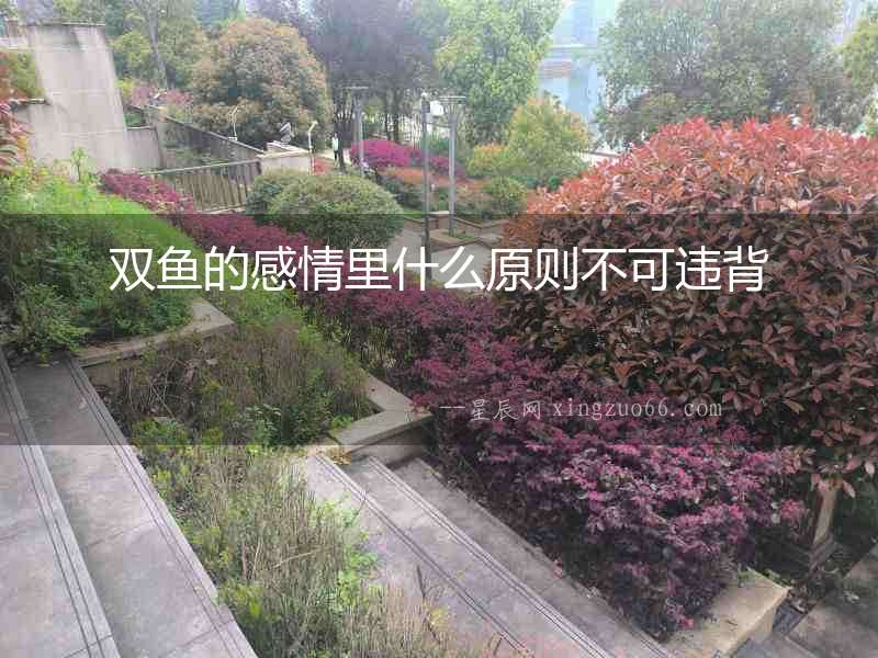 雙魚的感情里什么原則不可違背