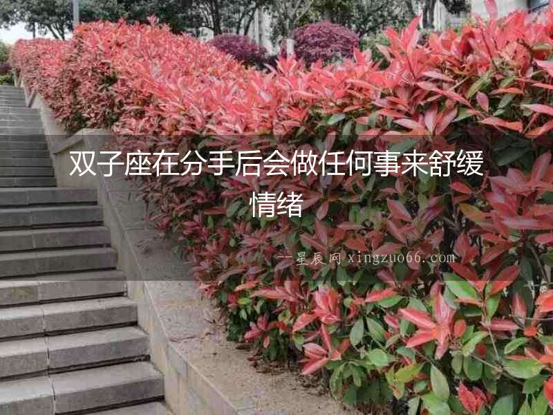 雙子座在分手后會做任何事來舒緩情緒