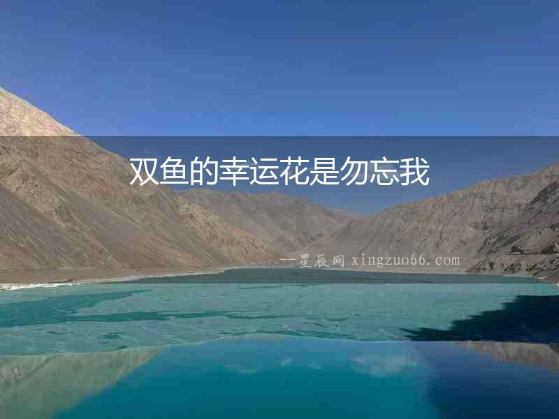 雙魚的幸運花是勿忘我