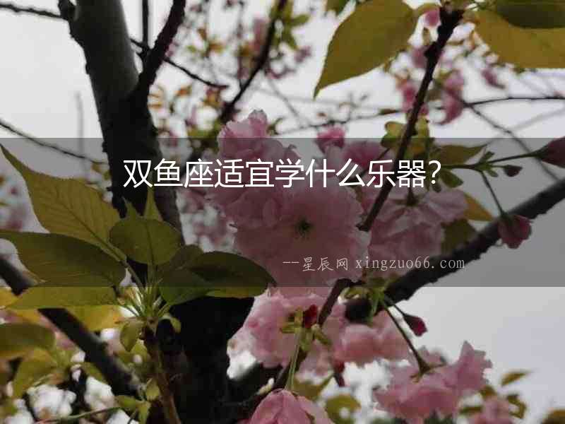 雙魚座適宜學什么樂器？