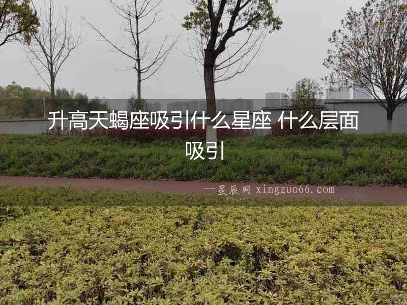升高天蝎座吸引什么星座 什么層面吸引