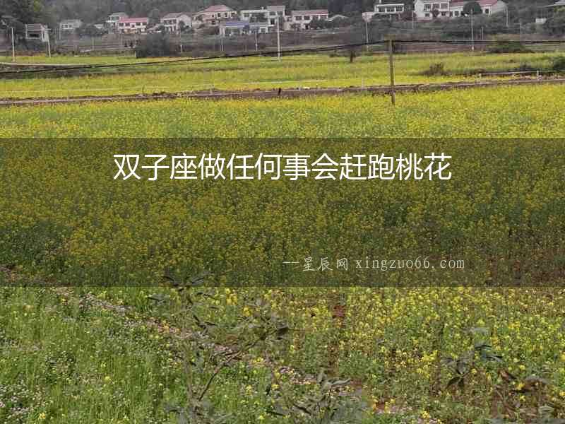 雙子座做任何事會趕跑桃花