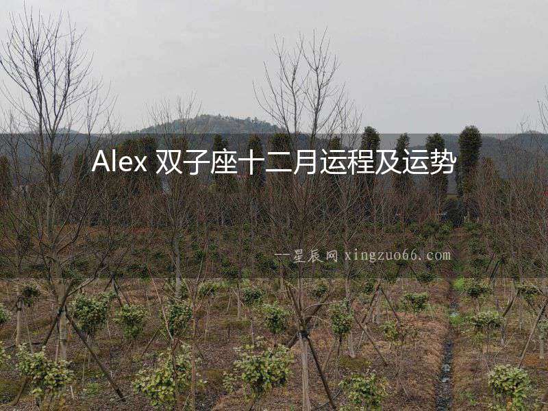 Alex 雙子座十二月運程及運勢