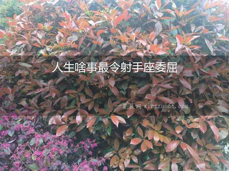 人生啥事最令射手座委屈