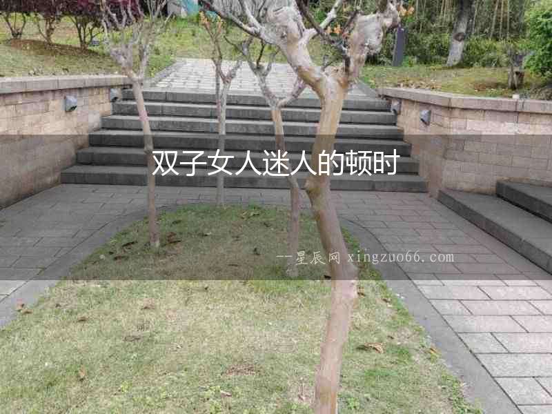 雙子女人迷人的頓時