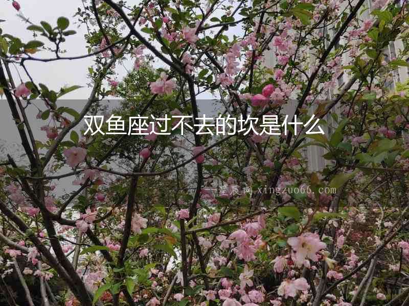 雙魚座過不去的坎是什么