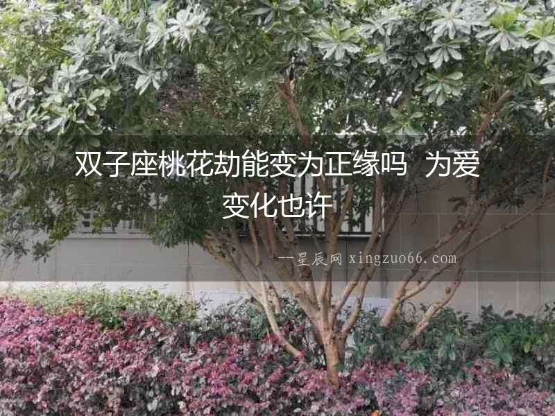雙子座桃花劫能變為正緣嗎  為愛變化也許