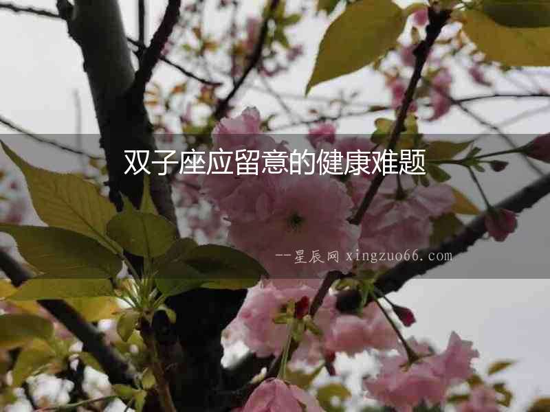雙子座應留意的健康難題