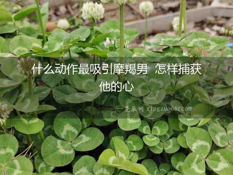 什么動作最吸引摩羯男  怎樣捕獲他的心