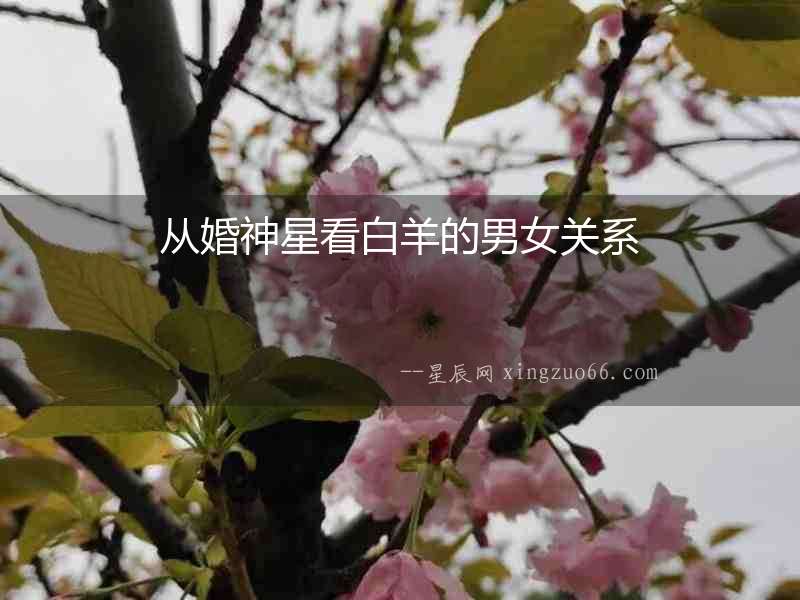 從婚神星看白羊的男女關(guān)系