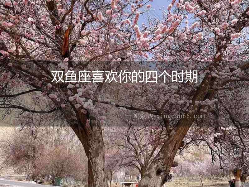 雙魚座喜歡你的四個時期