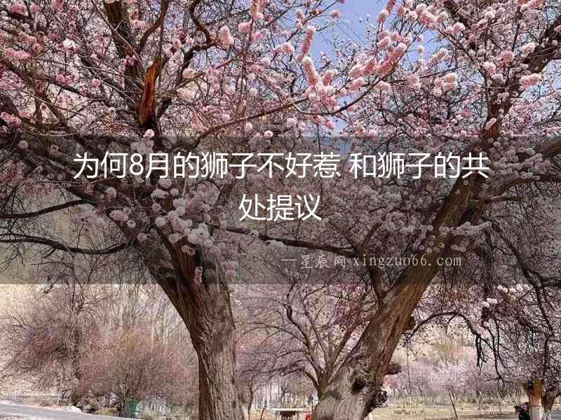 為何8月的獅子不好惹 和獅子的共處提議