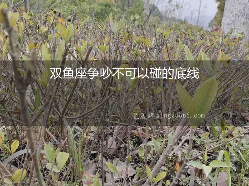 雙魚座爭吵不可以碰的底線