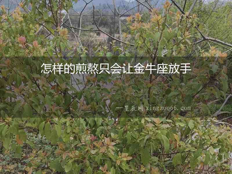 怎樣的煎熬只會讓金牛座放手