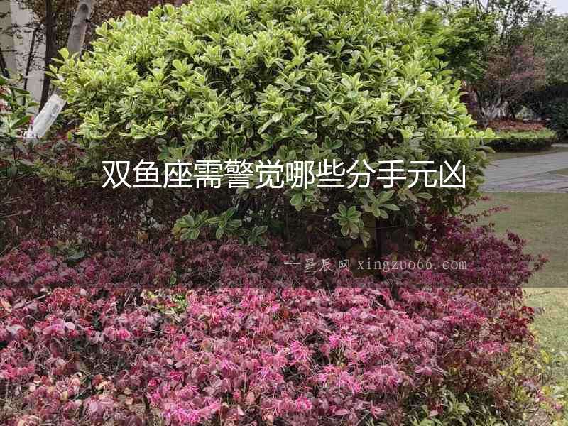 雙魚座需警覺哪些分手元兇