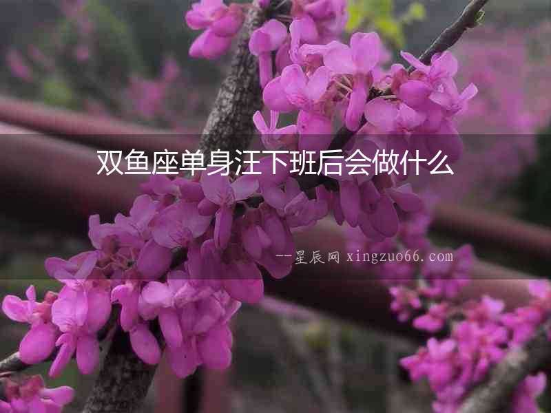 雙魚座單身汪下班后會做什么