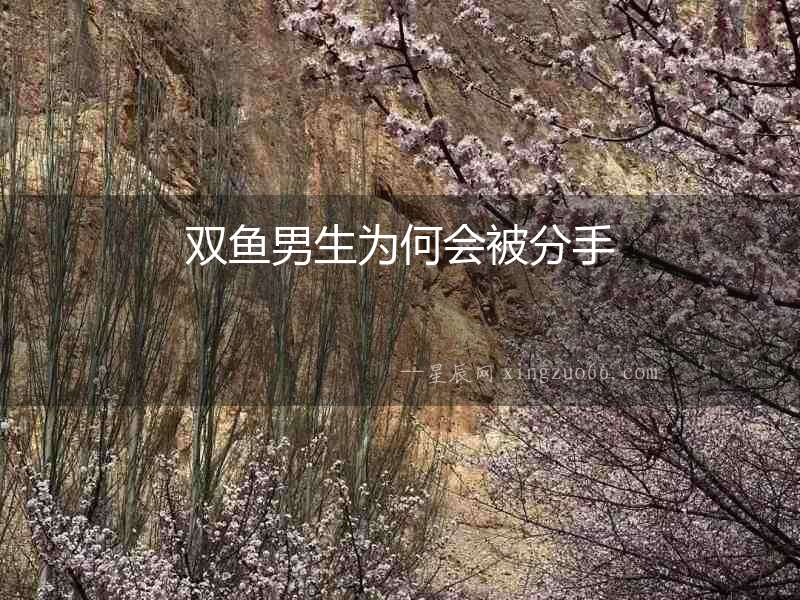 雙魚男生為何會被分手