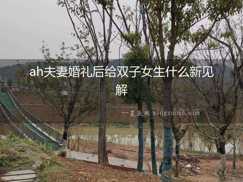 ah夫妻婚禮后給雙子女生什么新見解