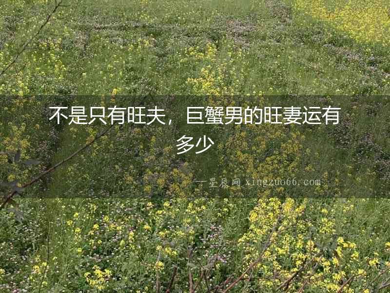 不是只有旺夫，巨蟹男的旺妻運有多少