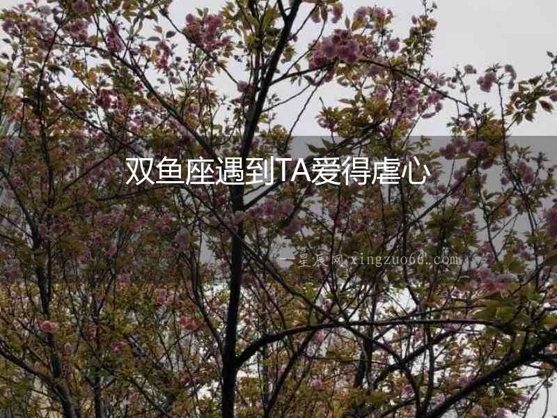 雙魚座遇到TA愛得虐心