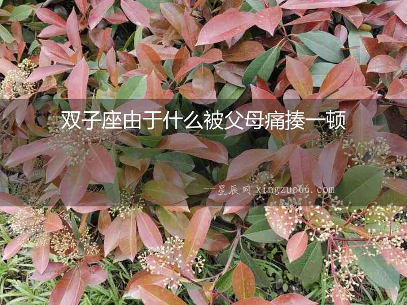 雙子座由于什么被父母痛揍一頓