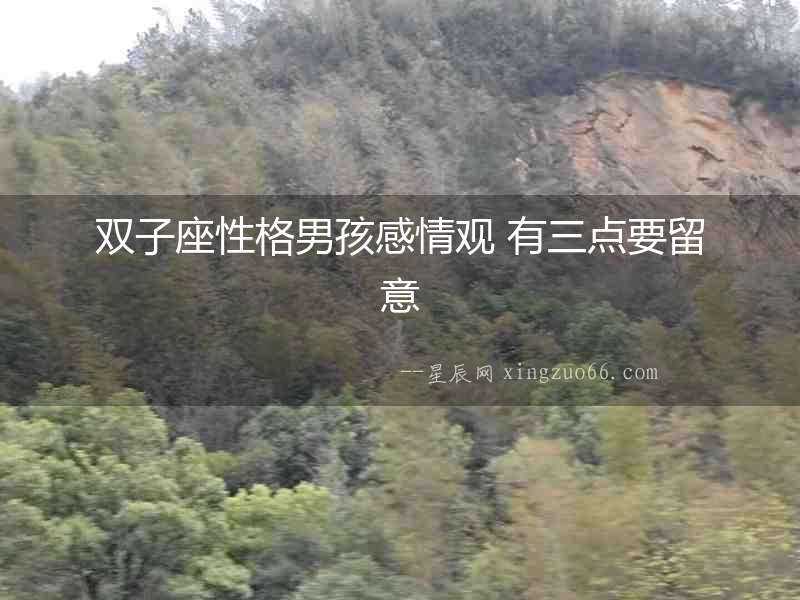 雙子座性格男孩感情觀 有三點要留意