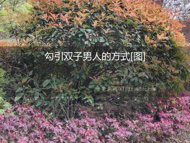 勾引雙子男人的方式[圖]